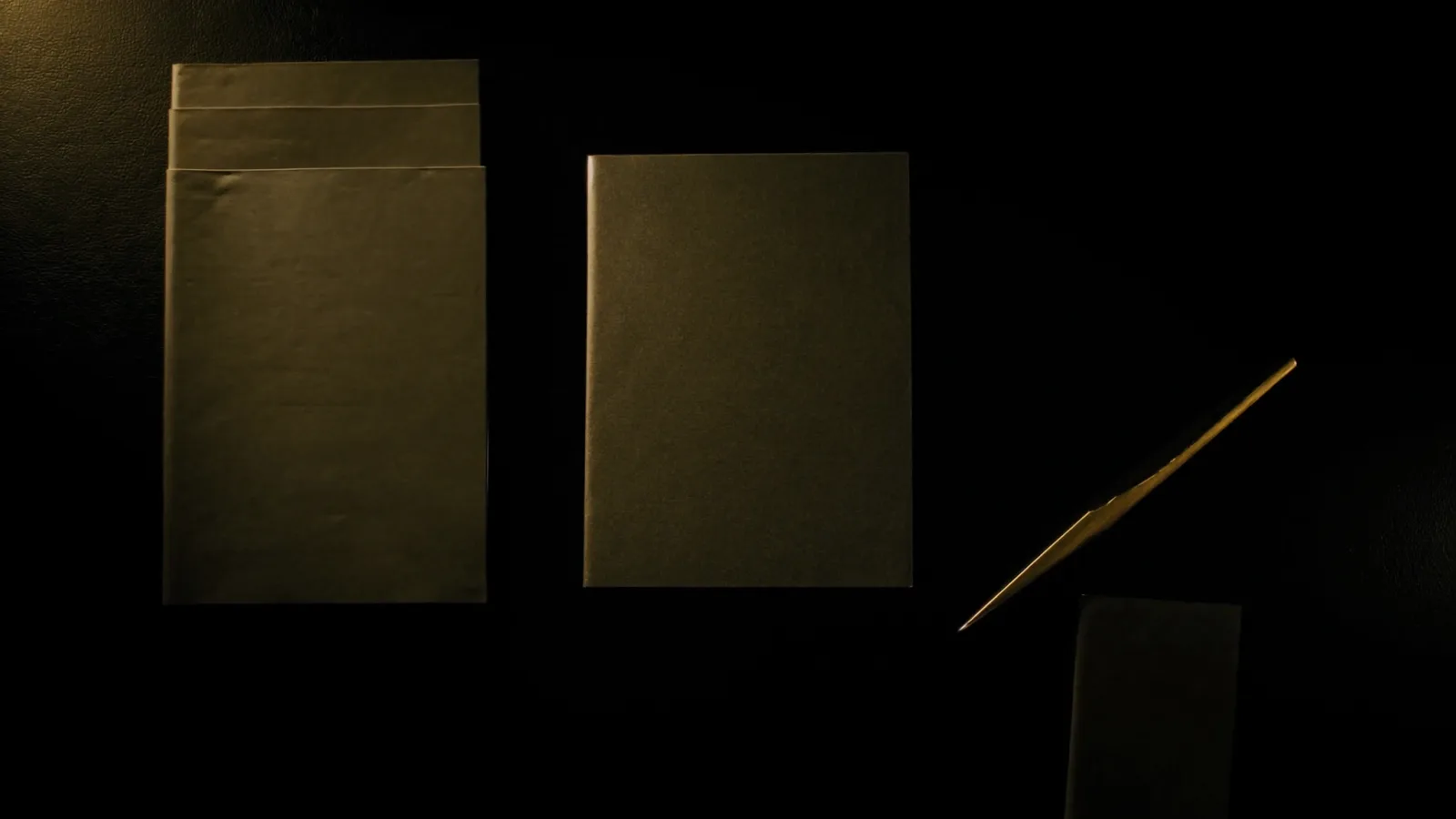 A case dossier laid open on the desk